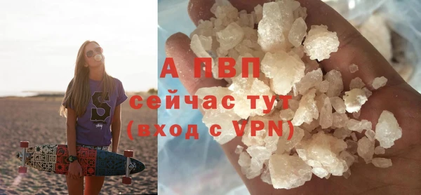 PSILOCYBIN Верея