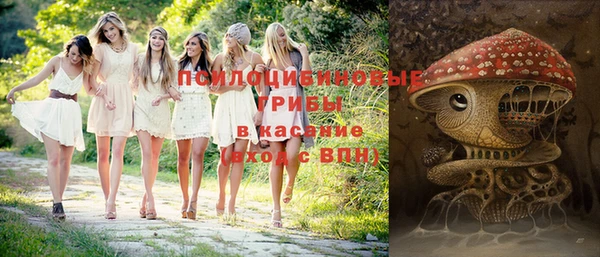PSILOCYBIN Верея
