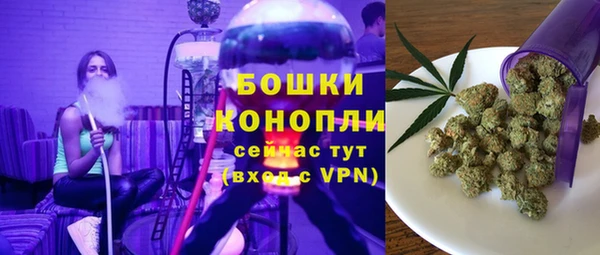 PSILOCYBIN Верея