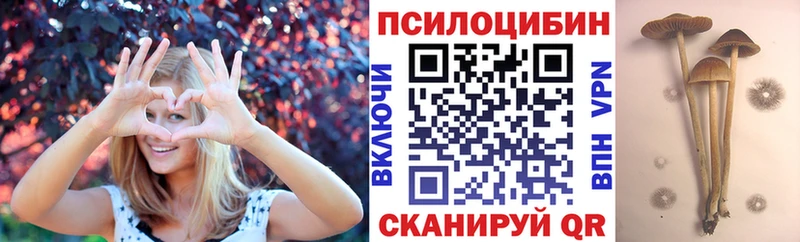 как найти закладки  Благовещенск  Псилоцибиновые грибы прущие грибы 